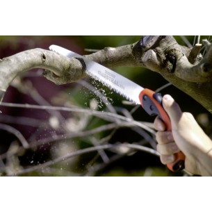 SEGHETTO STOCKER MAESTRAL... 2