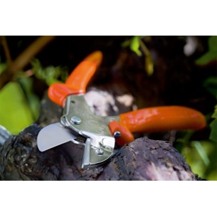 STOCKER LÖWE 1 FORBICE AMBOSS 2