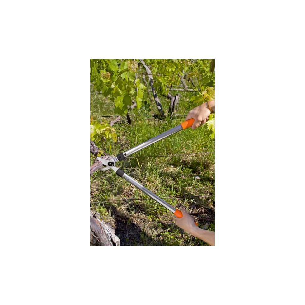 STOCKER LÖWE TRONCARAMI BYPASS