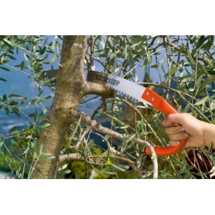 STOCKER SEGHETTO CON MANICO... 2