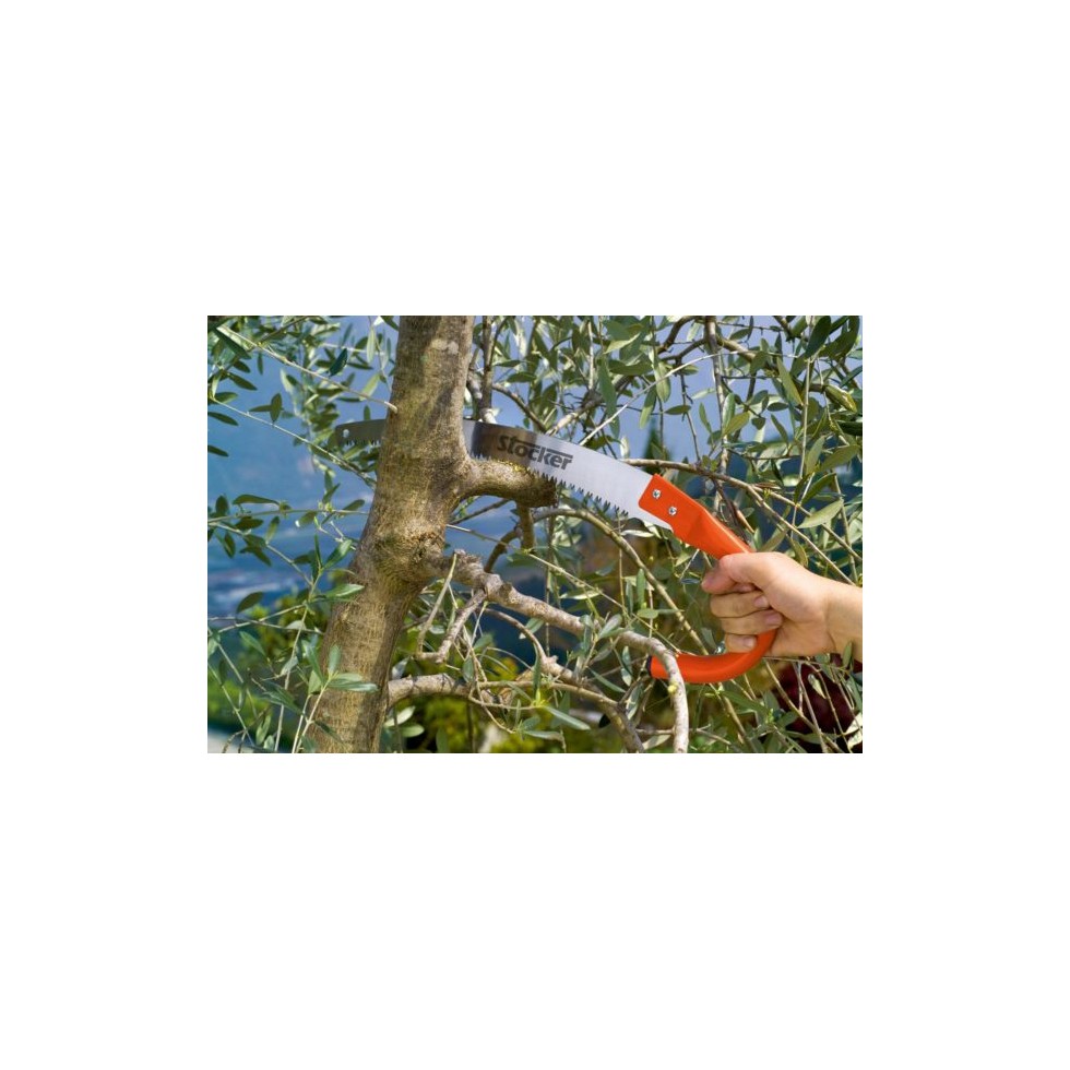 STOCKER SEGHETTO CON MANICO AD...