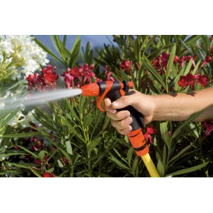 PISTOLA A SPRUZZO... 2