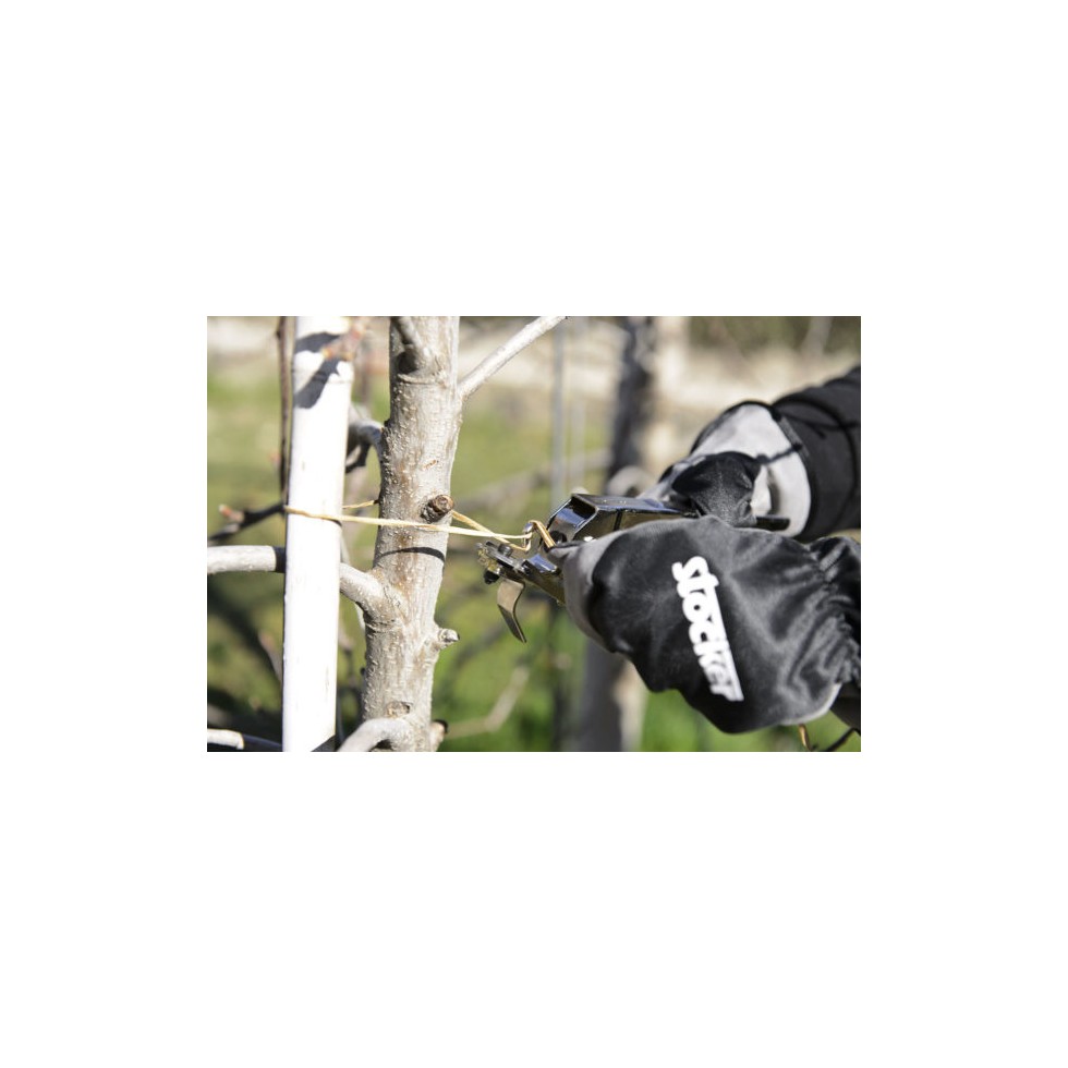 STOCKER LEGATRICE STOCKFIX 19