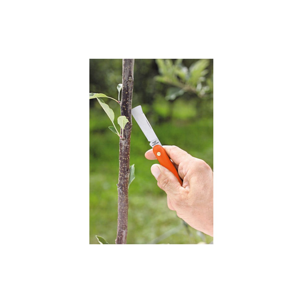 STOCKER COLTELLO DA INNESTO 55