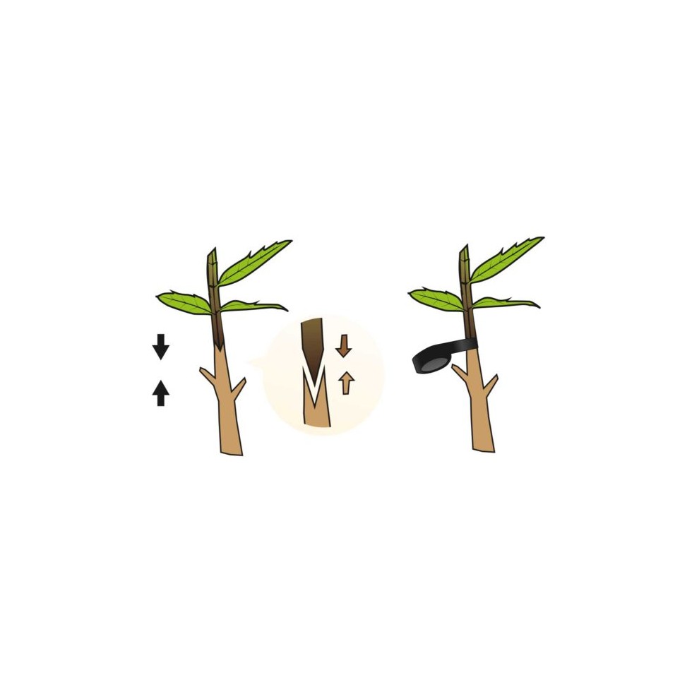 STOCKER INNESTATRICE TOP