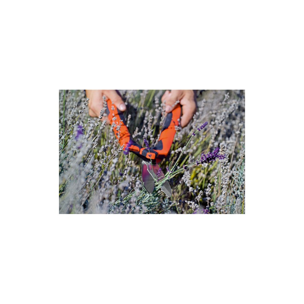 STOCKER TAGLIASIEPI HOBBY 55 LAMA...