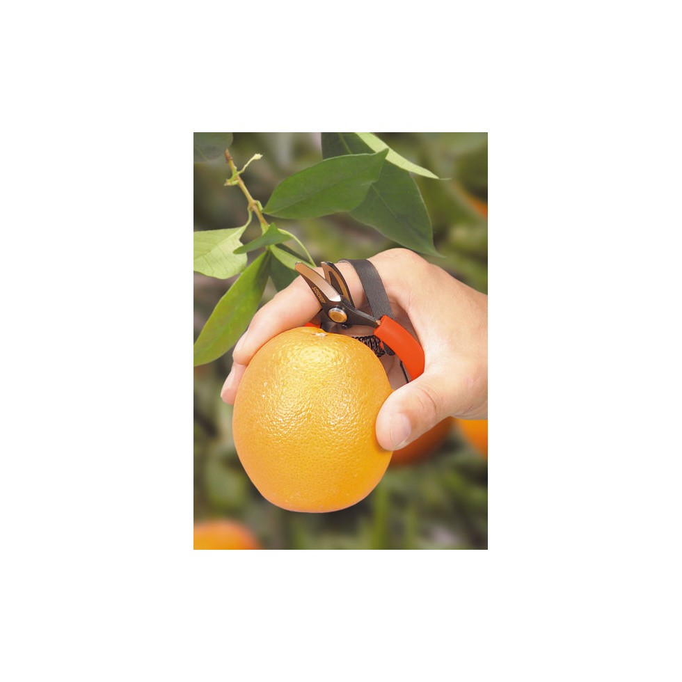 STOCKER FORBICE AGRUMI CON CINGHIA...