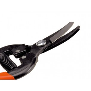 STOCKER FORBICE AGRUMI 2