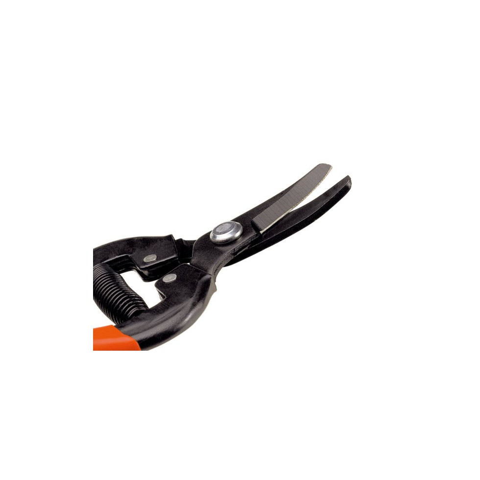 STOCKER FORBICE AGRUMI