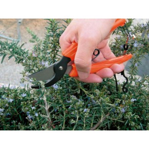 FORBICE PER FIORI 17 CON... 2