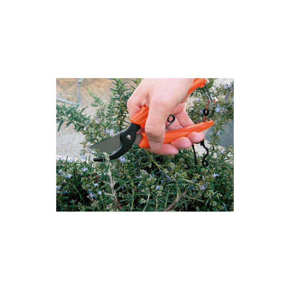 FORBICE PER FIORI 17 CON LAMA A PUNTA