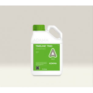ADAMA TIMELINE TRIO...