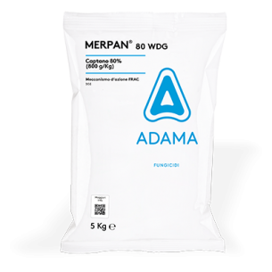 ADAMA MERPAN 80 WDG FUNGICIDA