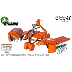 RINIERI - COPPIA DI...