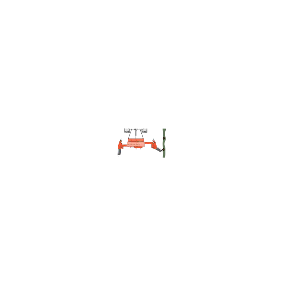 RINIERI - MAGGIORAZIONE PER...