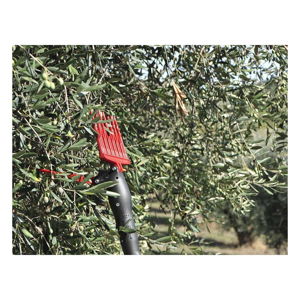 CASTELLARI RACCOGLI OLIVE ELETTRICO...