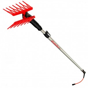 CASTELLARI RACCOGLI OLIVE... 2