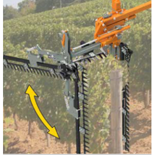 RINIERI - ROTAZIONE...