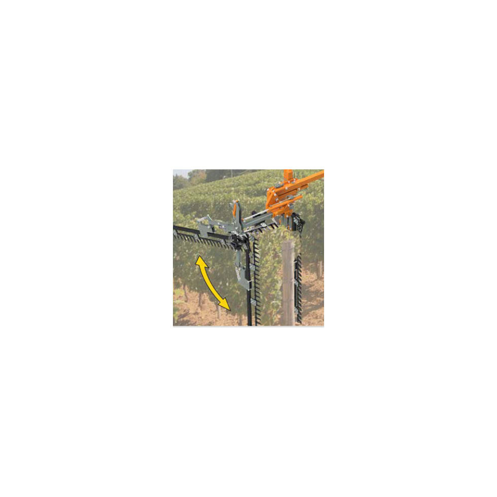 RINIERI - ROTAZIONE POSTERIORE DELLA...