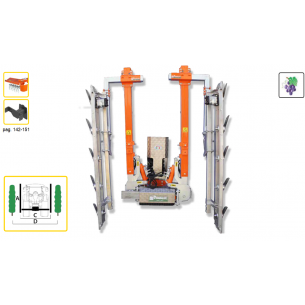 RINIERI - CIMATRICE CRV...