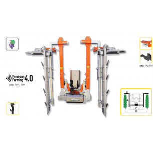 RINIERI - CIMATRICE CRV...