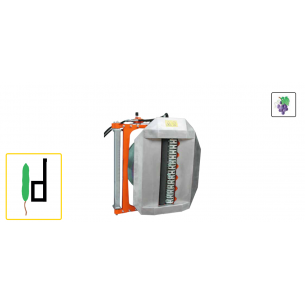 RINIERI - TESTATA...