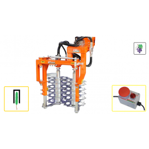 RINIERI - TESTATA...