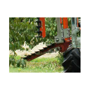 RINIERI - TOP INFERIORE...