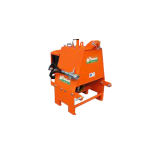 RINIERI CENTRALINA...