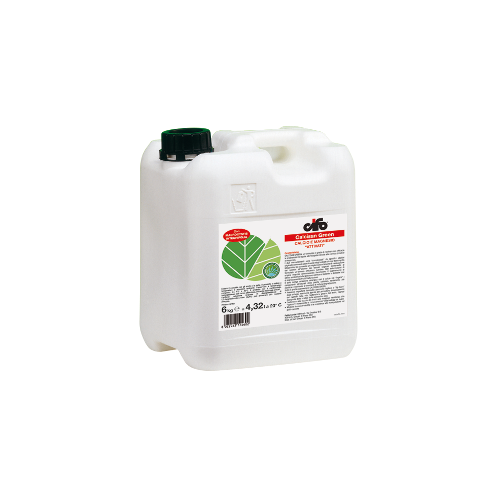 CIFO CALCISAN GREEN CONCIME CALCIO E...