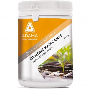 ADAMA ORMONE RADICANTE IN...
