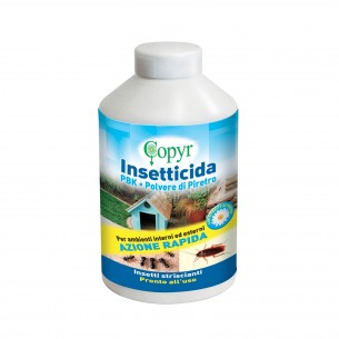 COPYR PBK POLVERE DI...