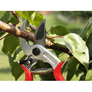 CASTELLARI FORBICE DA... 2