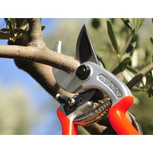 CASTELLARI FORBICI DA... 2