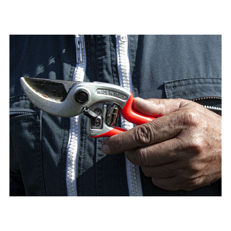 CASTELLARI FORBICI DA POTATURA...