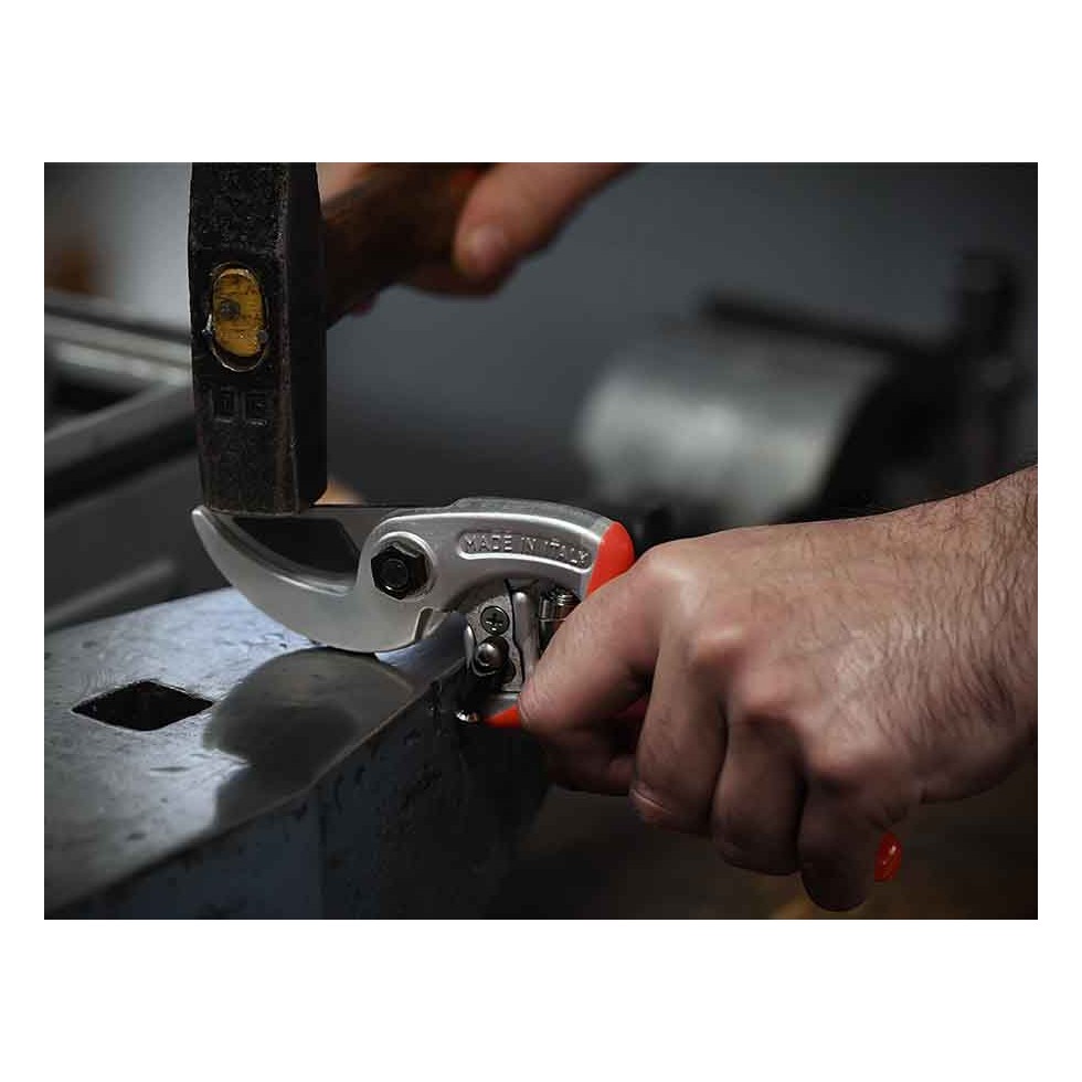 CASTELLARI FORBICI DA POTATURA...