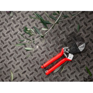 CASTELLARI B12 FORBICI... 2