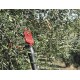 CASTELLARI RACCOGLI OLIVE ELETTRICO PROFESSIONALE OLIVANCE EP L V2