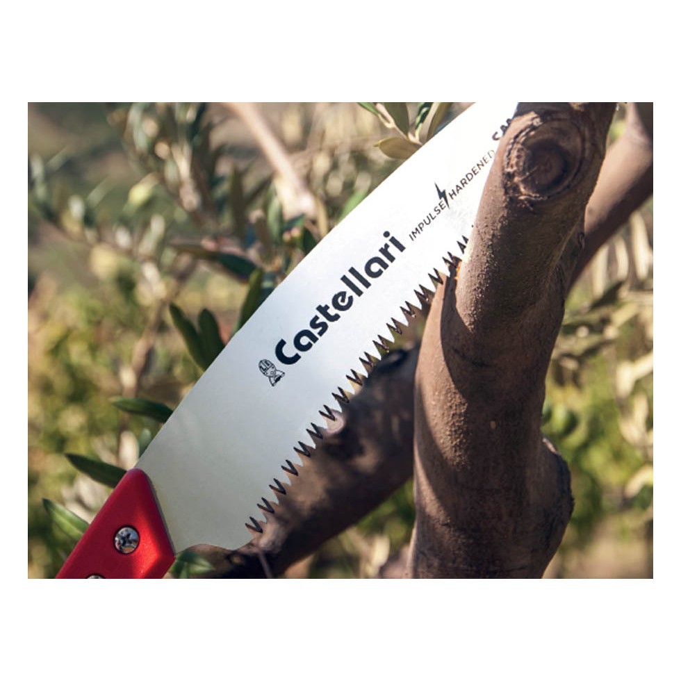 CASTELLARI SEGHETTO PROFESSIONALE SME...