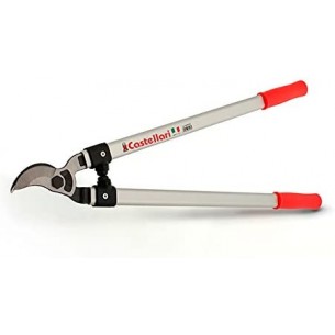 CASTELLARI TRONCARAMI...