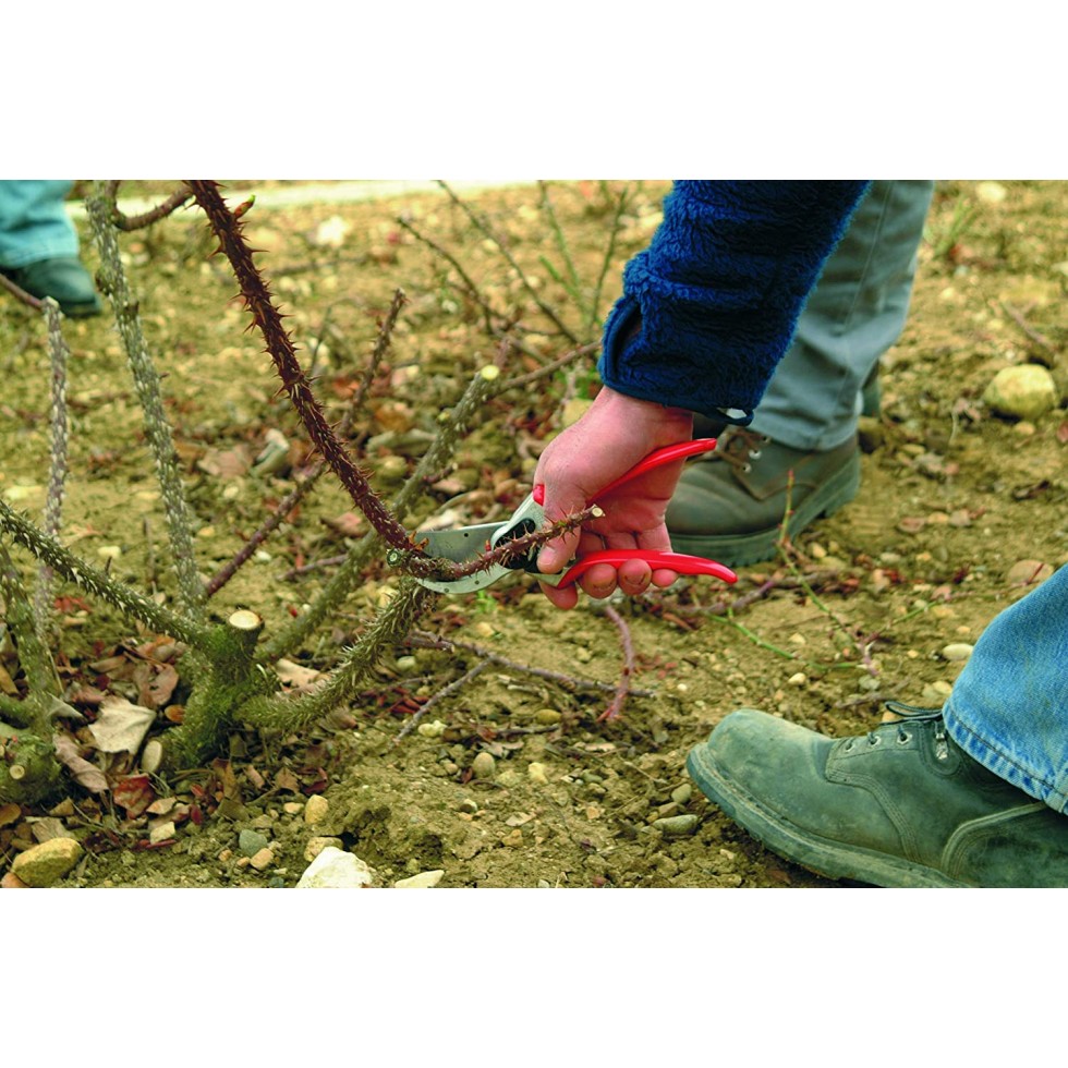 FELCO 2 FORBICE DA POTATURA...