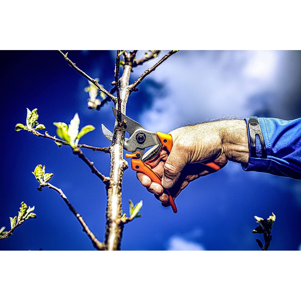 LOWE 8.104 ORIGINAL FORBICE DA...