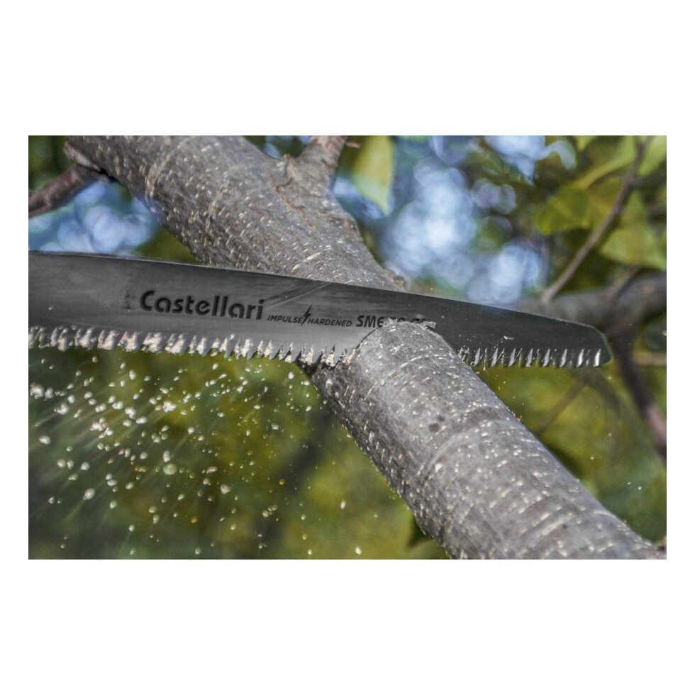 CASTELLARI SEGHETTO PROFESSIONALE SME...