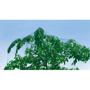 STOCKER RETE ANTIUCCELLI... 2