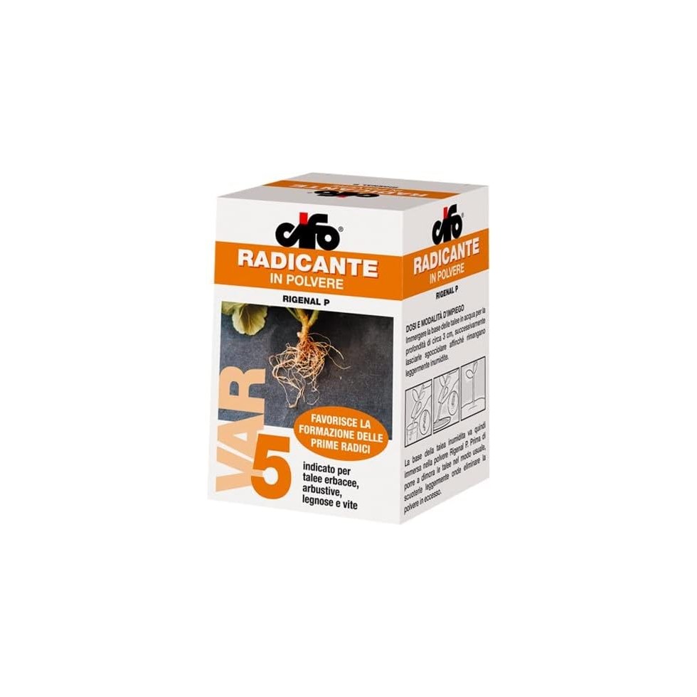 CIFO RIGENAL P RADICANTE IN POLVERE...