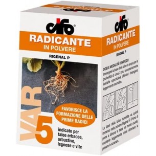 CIFO RIGENAL P RADICANTE IN...