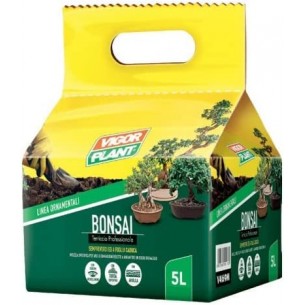 VIGORPLANT BONSAI TERRICCIO...