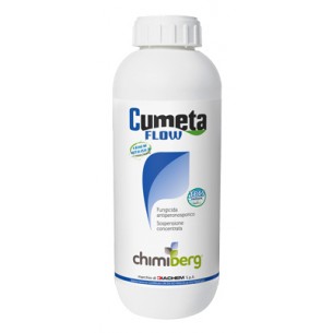 CHIMIBERG CUMETA FLOW...