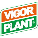 VIGOR PLANT